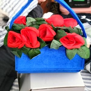 Rosie Red Roses Bag 'NIB' 'NWT'